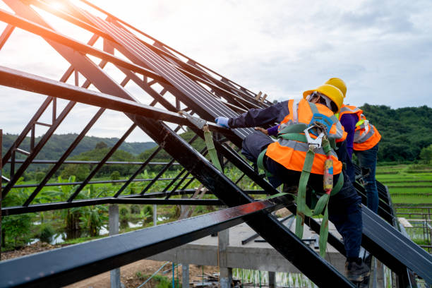 Best Shingle Roofing Installation  in Bronson, MI
