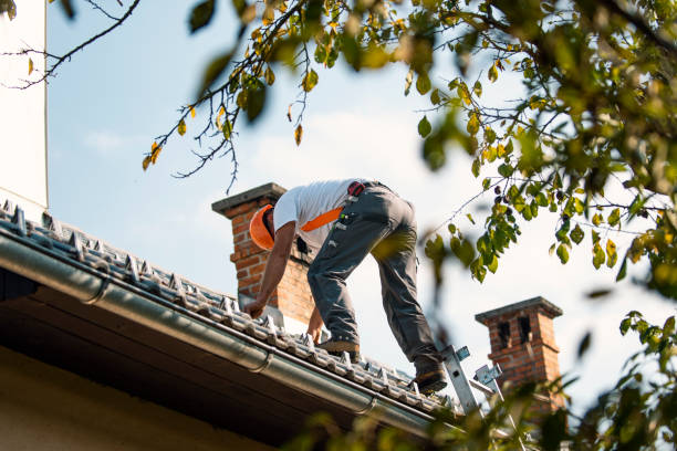 Best Emergency Roof Repair  in Bronson, MI