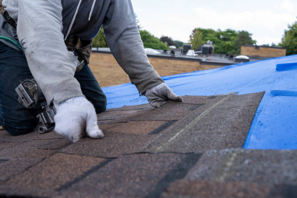 Best Roofing Contractor Near Me  in Bronson, MI