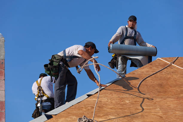 Best Roof Waterproofing Services  in Bronson, MI