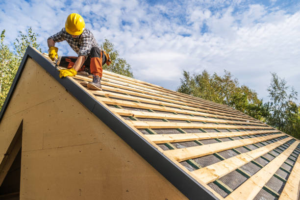 Best Roof Repair Services  in Bronson, MI