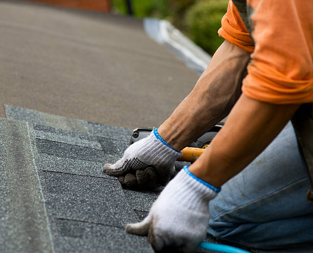 Best Emergency Roof Repair  in Bronson, MI