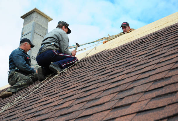 Residential Roof Replacement in Bronson, MI
