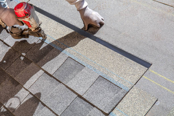 Best Roof Maintenance Services  in Bronson, MI